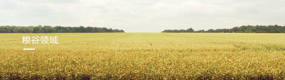 糧谷領域(yù)